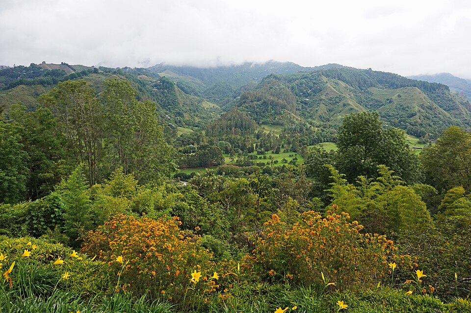 Valle de Cocora